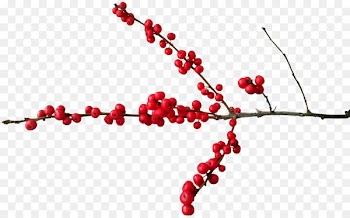 Berry Christmas Pink peppercorn Clip art - red berries 