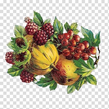 Berry Fruit Auglis Vegetable, Fresh fruit papaya mulberry transparent background PNG clipart