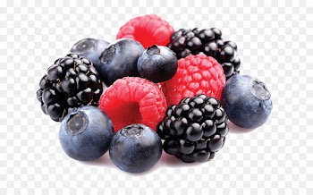 berry fruit blackberry frutti di bosco superfood