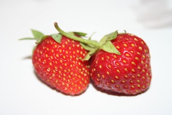 Berrytest_016.jpg