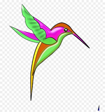 Berylline hummingbird Beak Violetear - absent design element 