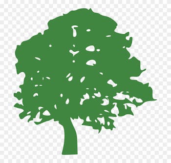 Best &amp; Most Affordable Tree Removal Redlands - Tree Clipart Green