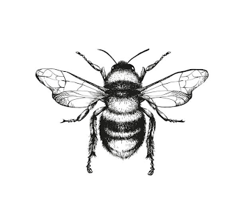 Best Bee Illustrations, Royalty-Free Vector Graphics & Clip Art ...