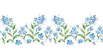 Best Forget Me Not Illustrations, Royalty-Free Vector Graphics ...