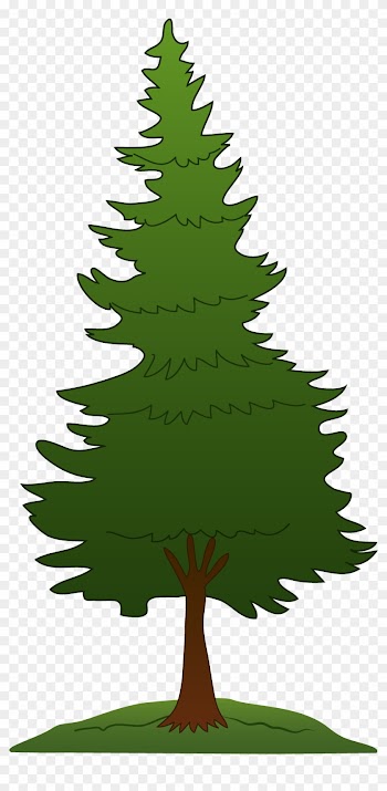 Best Of Tree Clipart - Clip Art Pine Tree