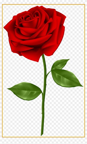 Best Red Rose Transparent Png Clip Art Gallery Yopriceville - Rose Png