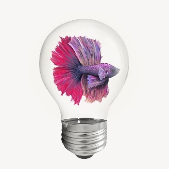 Betta fish sticker, light bulb | Free PSD - rawpixel
