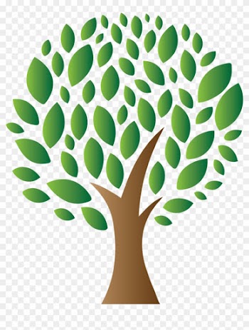 Better Growth - Modern Green Tree 8 3'x5' Area Rug