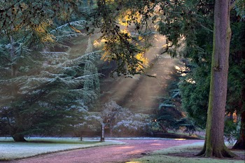 bg_hdr_2-1.jpg
