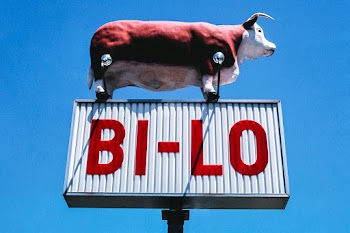 Bi-Lo Super Market sign, Cabarrus Avenue,… | Free public domain photo