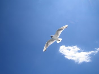 biberta_0316.JPG