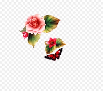 Bible Book of Deuteronomy Blessing Prayer Religion - floralpng graphic 