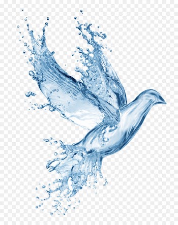 Bible God Disciple Prayer Gospel - Water effects 