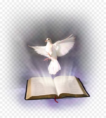 Bible Holy Spirit in Christianity Religious text - holy bible 