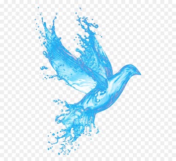 Bible Snow Road First Baptist Church God Learning Disciple - Fresh blue water pigeon png 