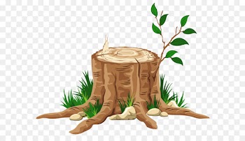 Bible Tree of Jesse Advent Daily devotional - Transparent Tree Stump PNG Clipart 
