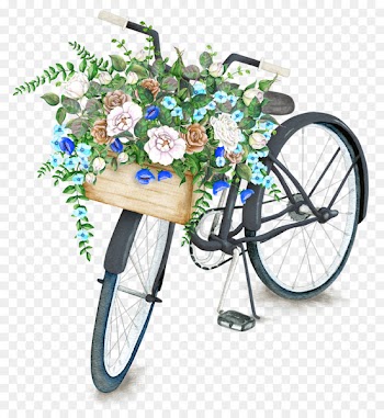 Bicycle basket Flower Drawing Stock illustration - Flower Baskets Bike 