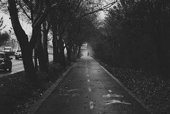 Bicycle Lane