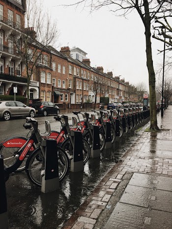 Bicycles on Bike Racks Beside Road