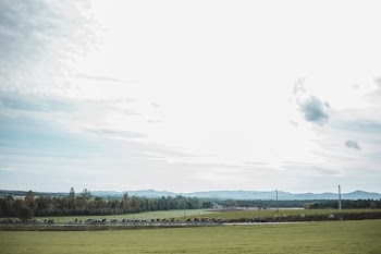 Bicycles On Country Road