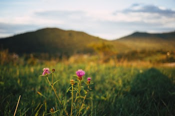 Bieszczady Mountains blurred