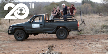 Big Cats and Women In Conservation Q&A With Leah Brown | GVI AUS