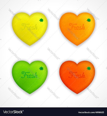 Big creative citrus icons set vector image