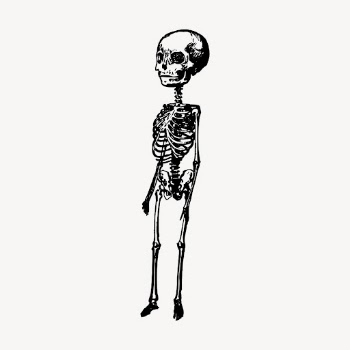 Big head skeleton hand drawn | Free Vector Illustration - rawpixel
