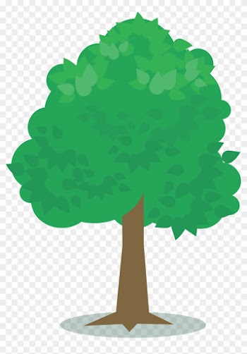 Big Image - 5 Trees
