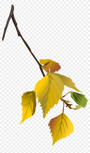 Big Image - Autumn Leaves Tree Branch Png