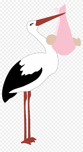 Big Image - Baby Girl Stork Greeting Cards
