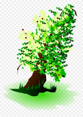 Big Image - If A Tree Falls In The Forest Does It Make A Sound