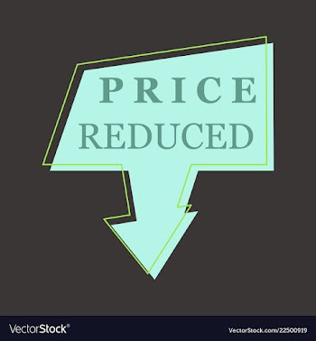Big sale banner ribbon vector image