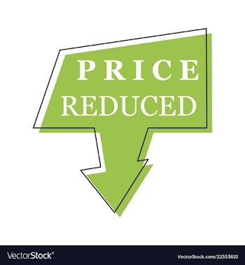 Big sale banner ribbon vector image