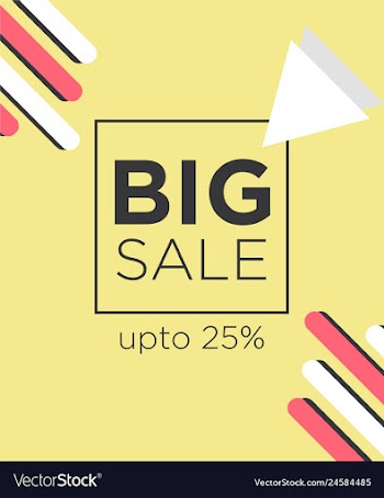Big sale banner vector image