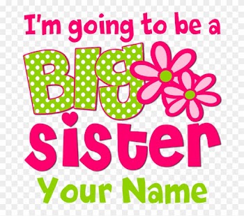 Big Sister To Be Pink Green T-shirt - Little Sister Pink Zebra Baby Blanket