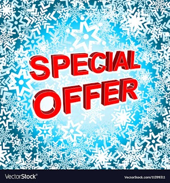 Big winter sale poster with SPECIAL OFFER SALE vector image