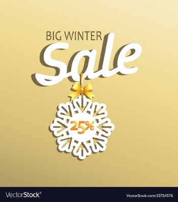 Big winter sales message vector image