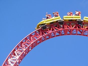 bigal101_P1020630.JPG