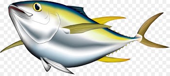 Bigeye tuna Albacore Pacific bluefin tuna Yellowfin tuna Illustration - Cartoon fish 