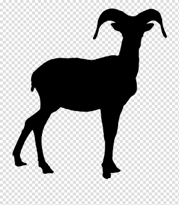 Bighorn Sheep PNG Transparent Image