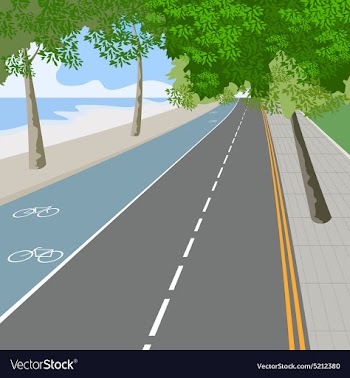 Bike lane vector image