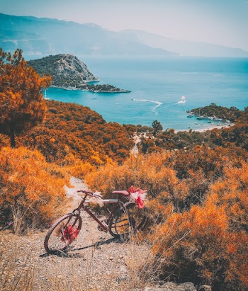 Bike on the Hill With Body of Water Scenery