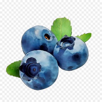 Bilberry Blueberry Ice cream Cocoberry Ice-cream Limited Milkshake -  
