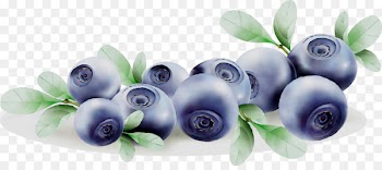 Bilberry Blueberry Product Body Jewellery Cut flowers -  