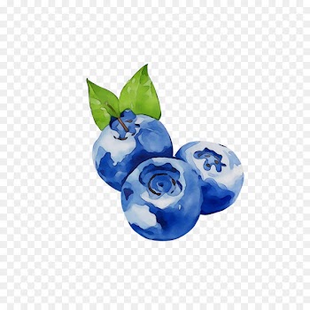 Bilberry Blueberry Product Cobalt blue -  