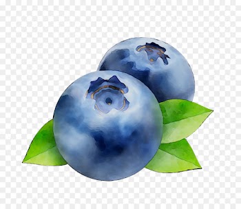 Bilberry Blueberry Sphere -  