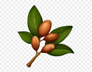 Bio-argan Oil - Argan Leaf
