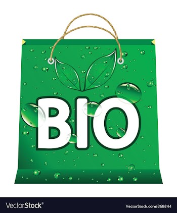 Bio shopping bag vector image