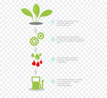 Biodiesel, Biofuel, Ethanol Fuel, Plant, Botany PNG